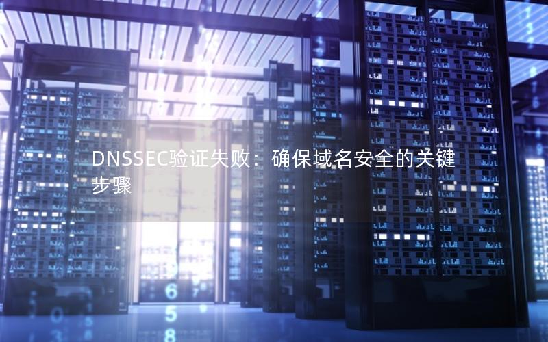 DNSSEC验证失败：确保域名安全的关键步骤