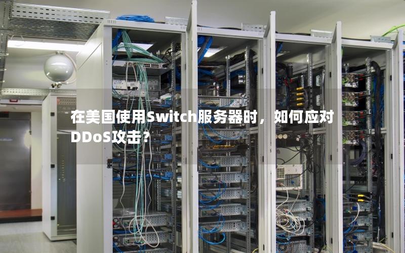 在美国使用Switch服务器时，如何应对DDoS攻击？