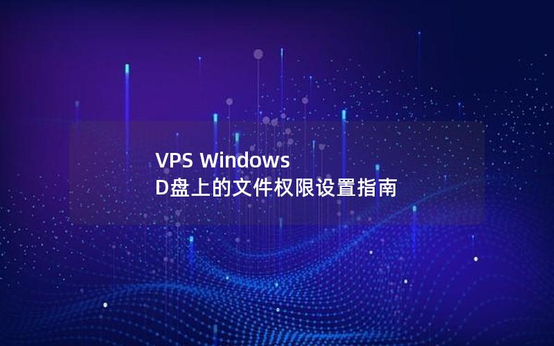 VPS Windows D盘上的文件权限设置指南