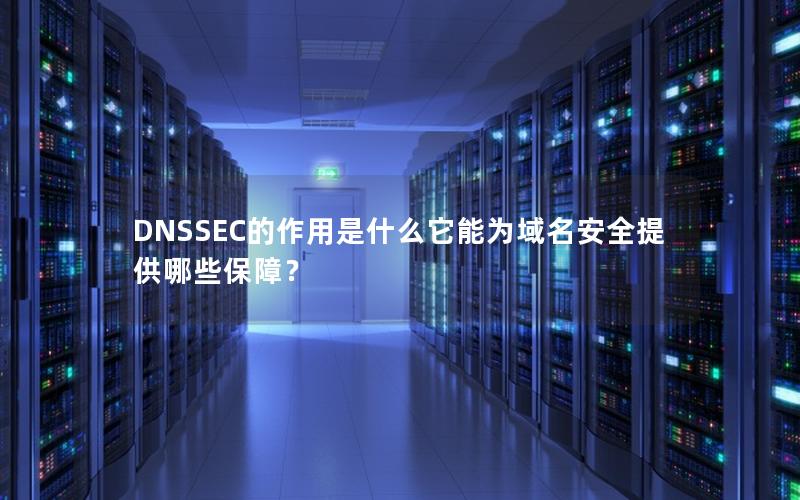 DNSSEC的作用是什么它能为域名安全提供哪些保障？