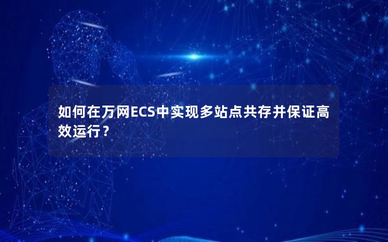 如何在万网ECS中实现多站点共存并保证高效运行？