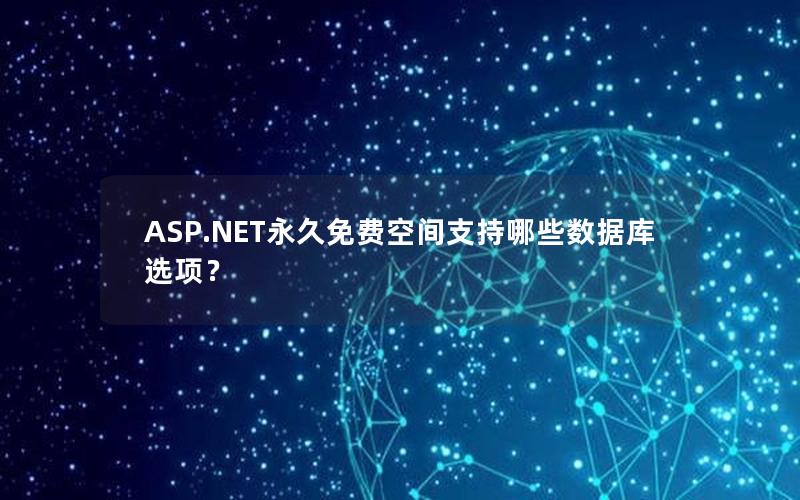 ASP.NET永久免费空间支持哪些数据库选项？