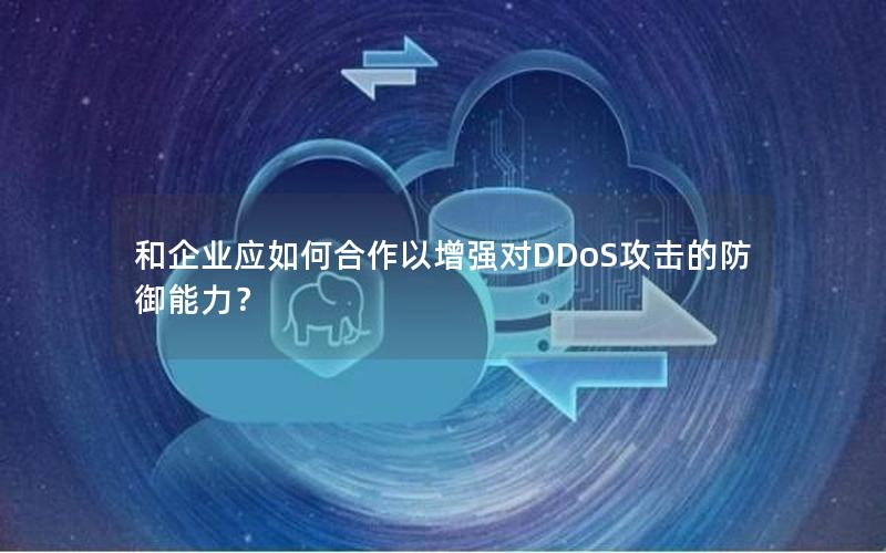 和企业应如何合作以增强对DDoS攻击的防御能力？