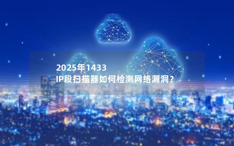 2025年1433 IP段扫描器如何检测网络漏洞？