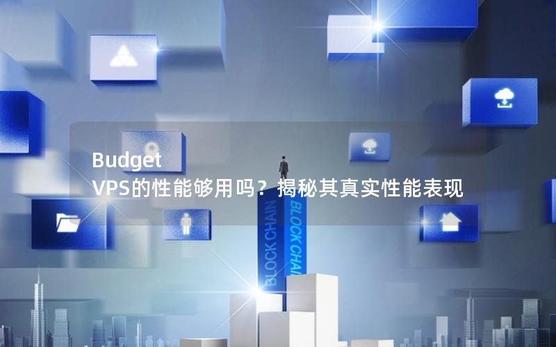 Budget VPS的性能够用吗？揭秘其真实性能表现