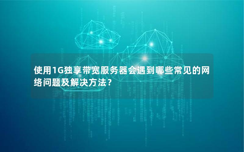 使用1G独享带宽服务器会遇到哪些常见的网络问题及解决方法？