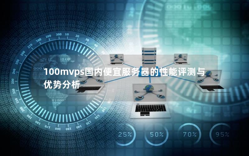 100mvps国内便宜服务器的性能评测与优势分析