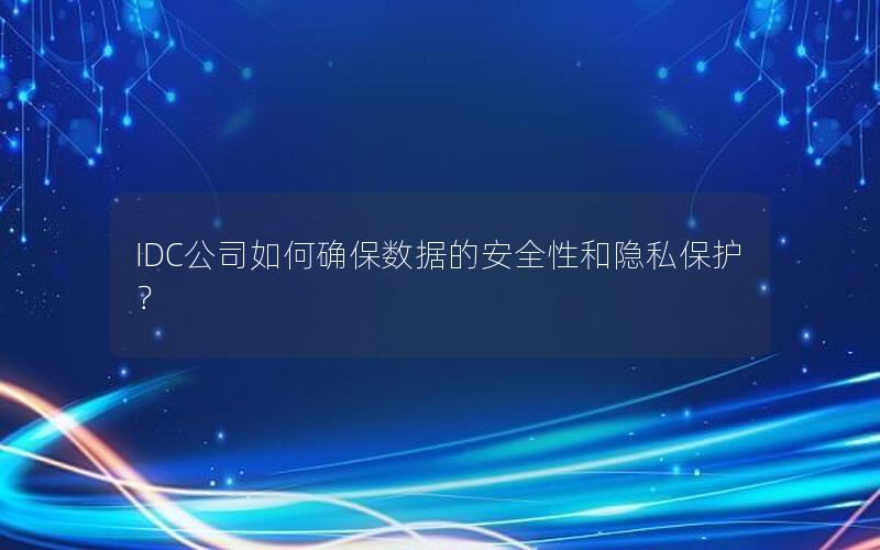 IDC公司如何确保数据的安全性和隐私保护？