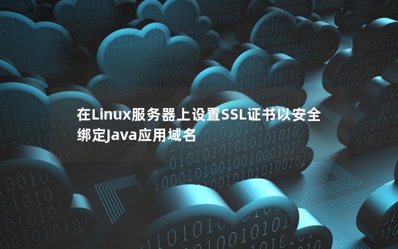 在Linux服务器上设置SSL证书以安全绑定Java应用域名