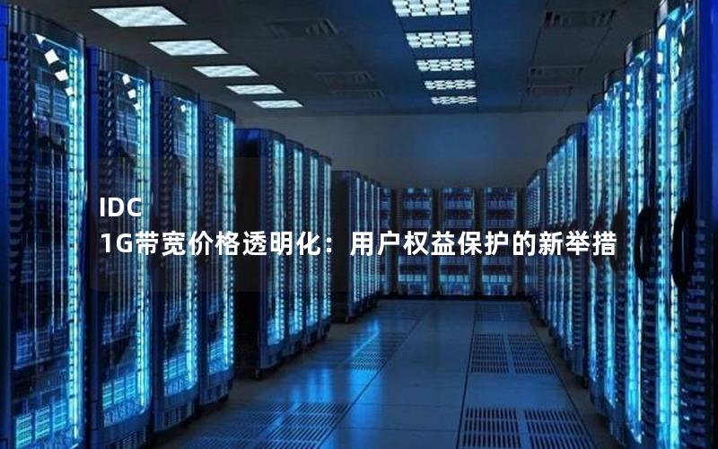 IDC 1G带宽价格透明化：用户权益保护的新举措