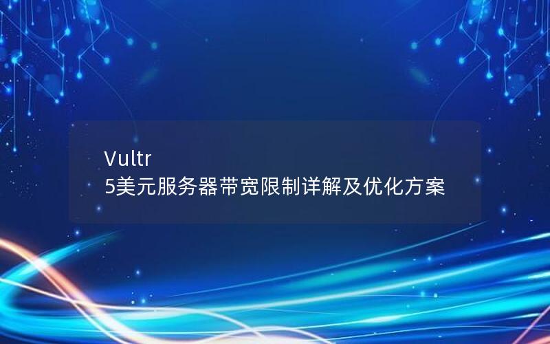 Vultr 5美元服务器带宽限制详解及优化方案