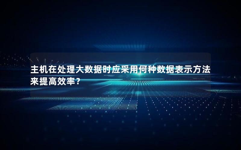 主机在处理大数据时应采用何种数据表示方法来提高效率？