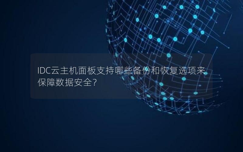 IDC云主机面板支持哪些备份和恢复选项来保障数据安全？