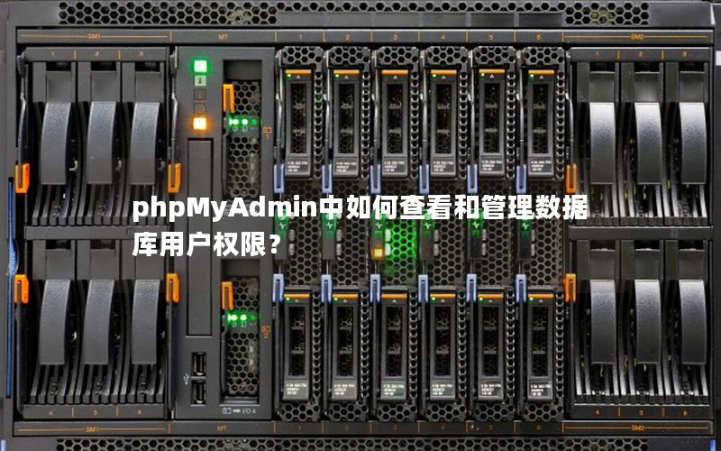 phpMyAdmin中如何查看和管理数据库用户权限？