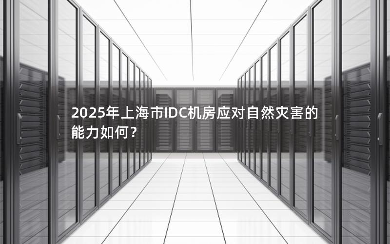 2025年上海市IDC机房应对自然灾害的能力如何？