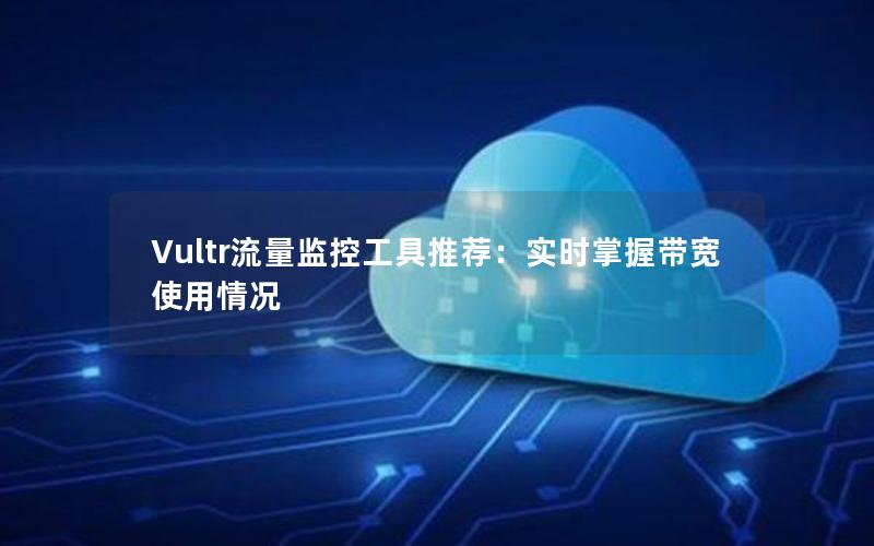 Vultr流量监控工具推荐：实时掌握带宽使用情况