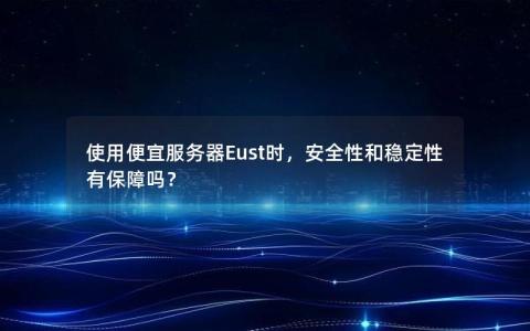 使用便宜服务器Eust时，安全性和稳定性有保障吗？