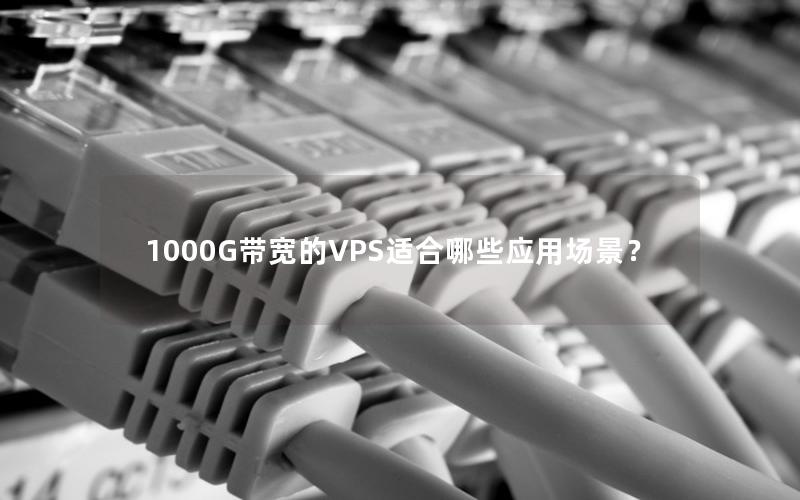 1000G带宽的VPS适合哪些应用场景？