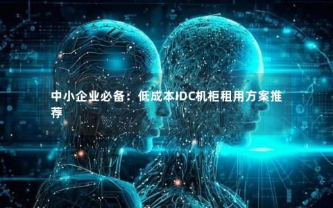 中小企业必备：低成本IDC机柜租用方案推荐