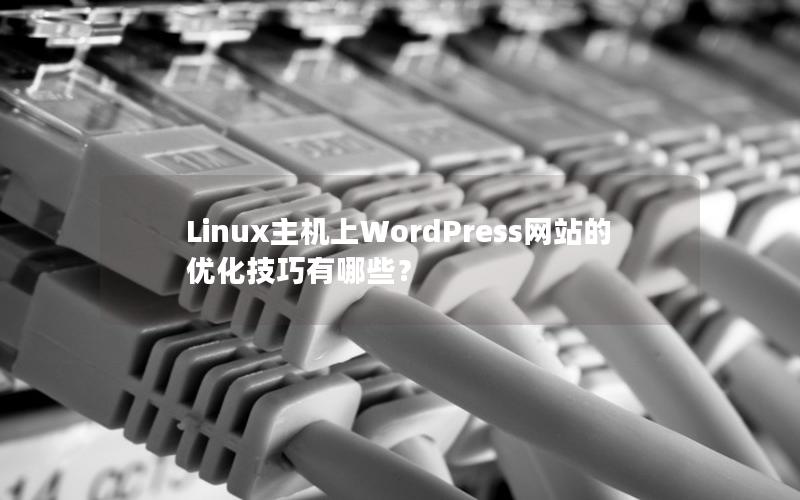 Linux主机上WordPress网站的优化技巧有哪些？