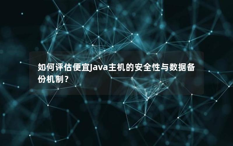 如何评估便宜Java主机的安全性与数据备份机制？