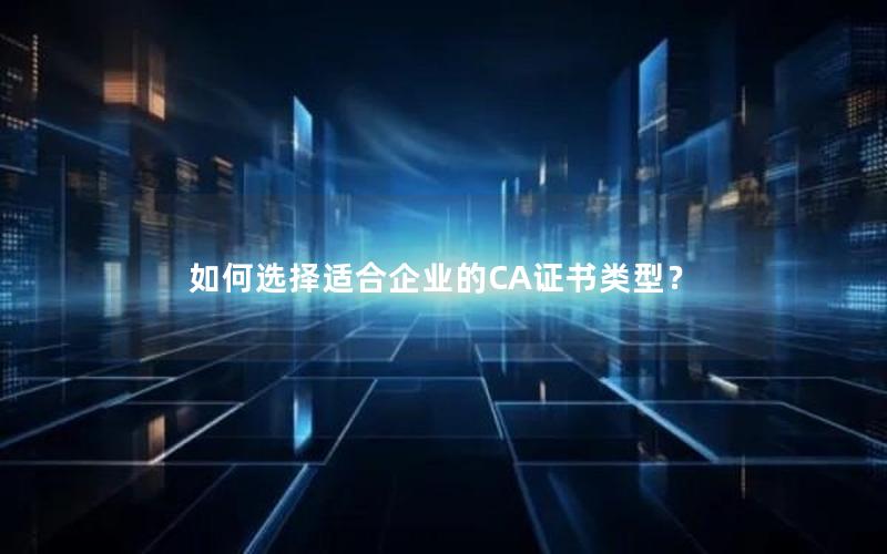 如何选择适合企业的CA证书类型？