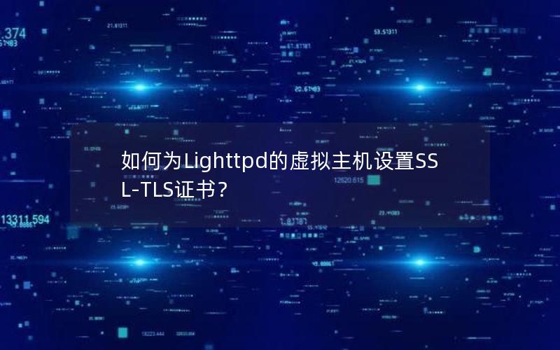 如何为Lighttpd的虚拟主机设置SSL-TLS证书？