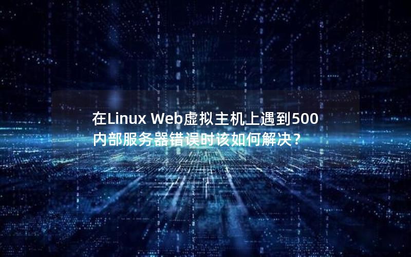 在Linux Web虚拟主机上遇到500内部服务器错误时该如何解决？