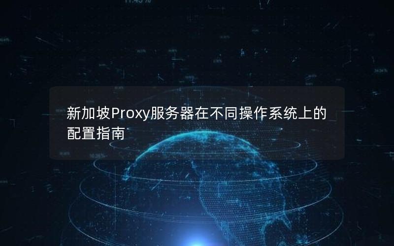 新加坡Proxy服务器在不同操作系统上的配置指南