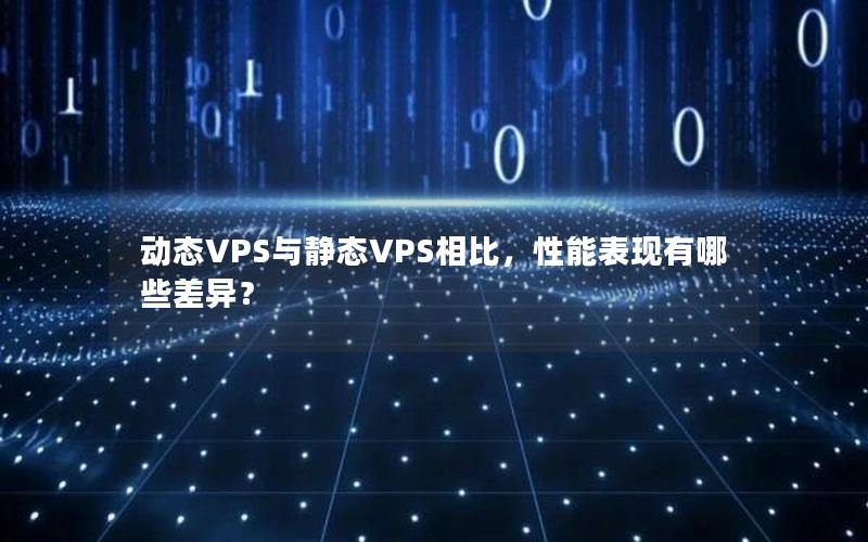 动态VPS与静态VPS相比，性能表现有哪些差异？