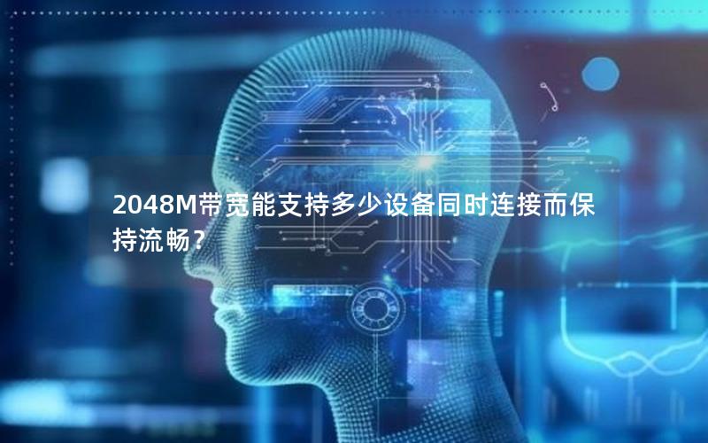 2048M带宽能支持多少设备同时连接而保持流畅？