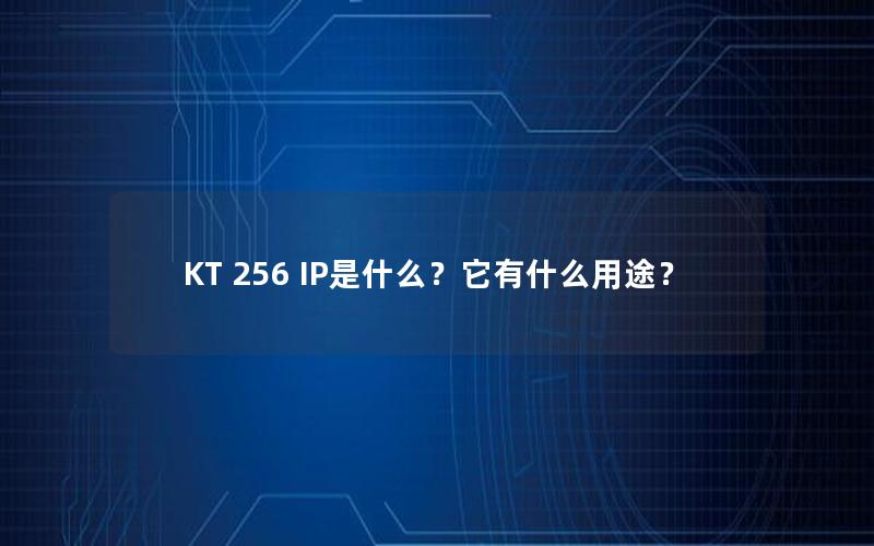 KT 256 IP是什么？它有什么用途？