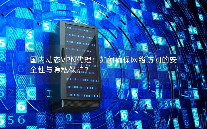 国内动态VPN代理：如何确保网络访问的安全性与隐私保护？