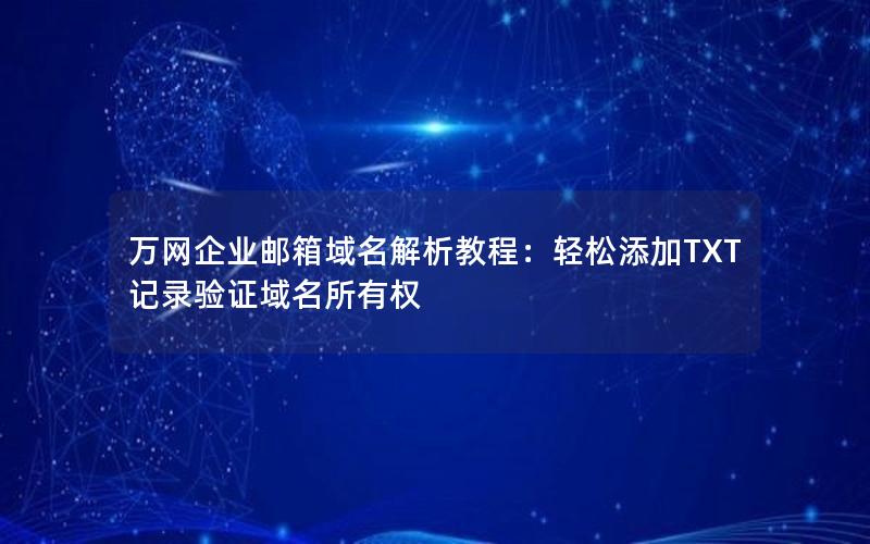 万网企业邮箱域名解析教程：轻松添加TXT记录验证域名所有权