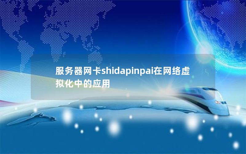 服务器网卡shidapinpai在网络虚拟化中的应用