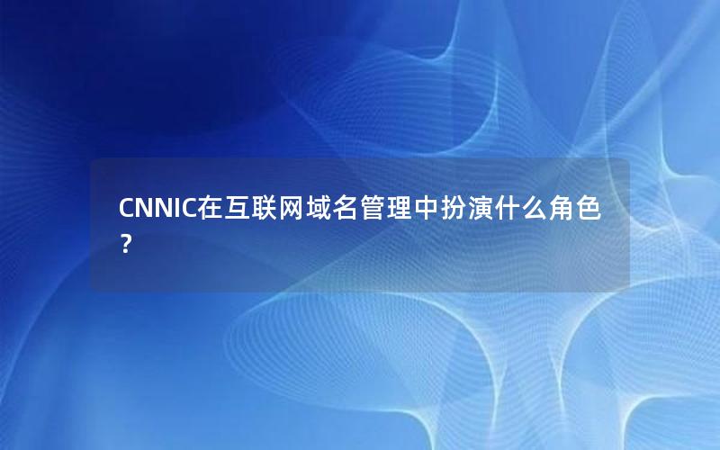 CNNIC在互联网域名管理中扮演什么角色？