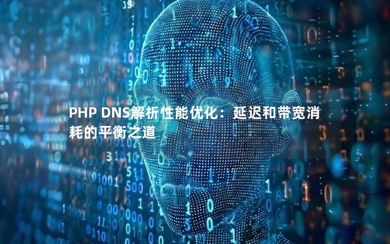 PHP DNS解析性能优化：延迟和带宽消耗的平衡之道