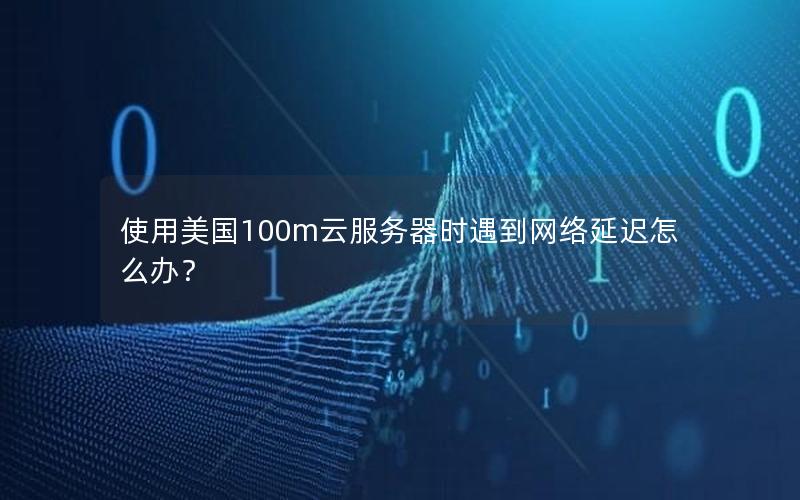 使用美国100m云服务器时遇到网络延迟怎么办？