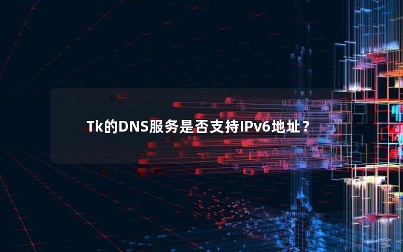 Tk的DNS服务是否支持IPv6地址？