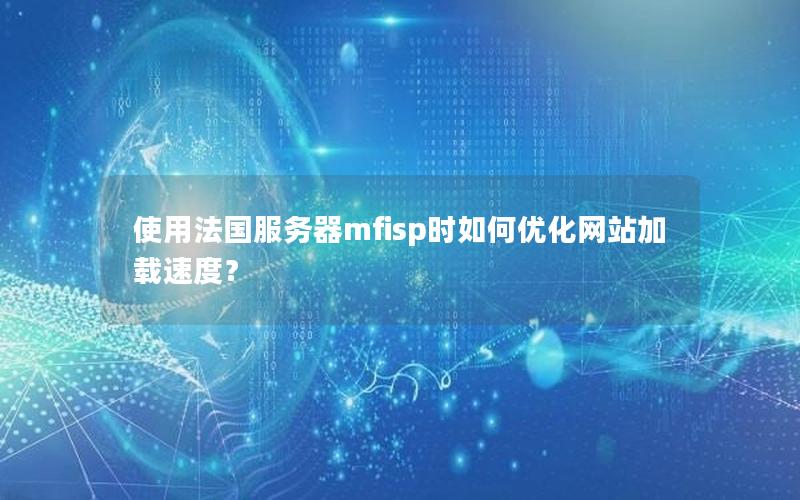 使用法国服务器mfisp时如何优化网站加载速度？