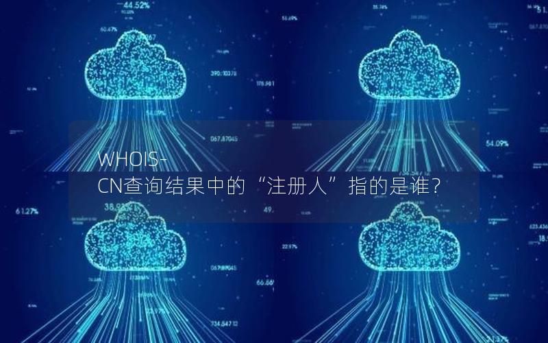 WHOIS-CN查询结果中的“注册人”指的是谁？