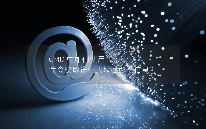 CMD 中如何使用 `dig` 命令获取详细的域名解析信息？