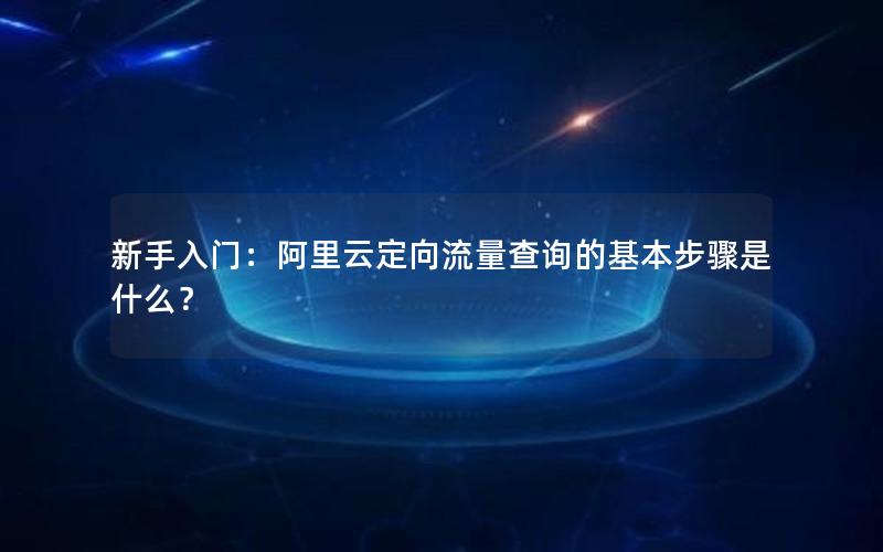 新手入门：阿里云定向流量查询的基本步骤是什么？