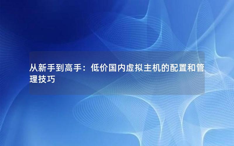 从新手到高手：低价国内虚拟主机的配置和管理技巧