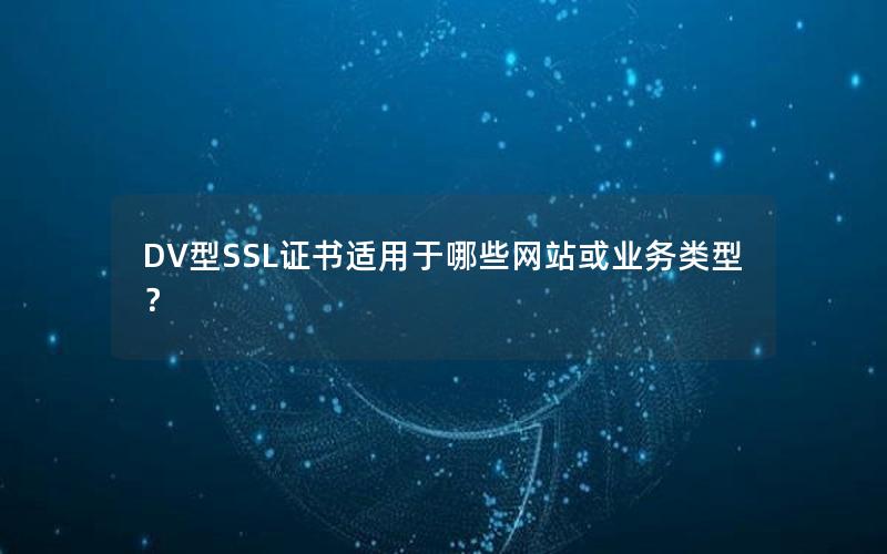 DV型SSL证书适用于哪些网站或业务类型？