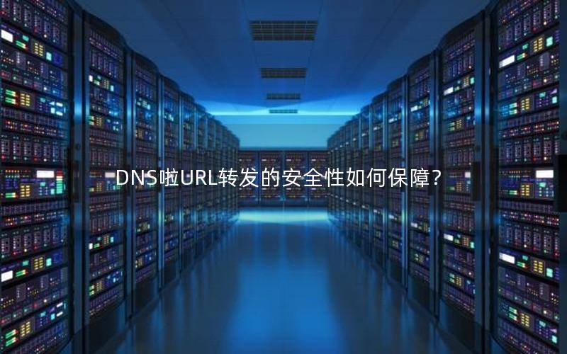 DNS啦URL转发的安全性如何保障？