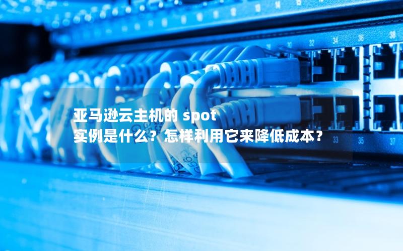 亚马逊云主机的 spot 实例是什么？怎样利用它来降低成本？