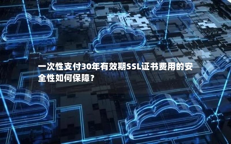 一次性支付30年有效期SSL证书费用的安全性如何保障？