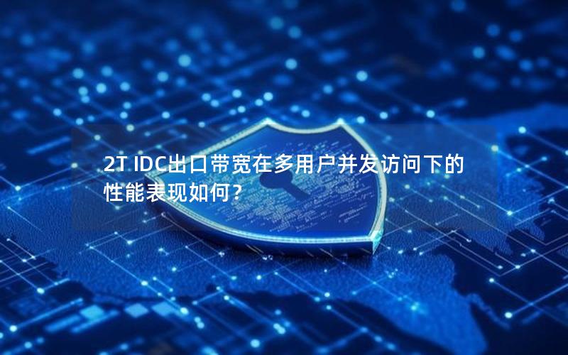 2T IDC出口带宽在多用户并发访问下的性能表现如何？