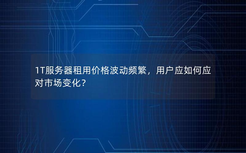 1T服务器租用价格波动频繁，用户应如何应对市场变化？